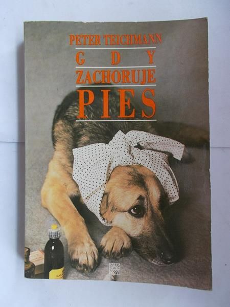 Gdy pies zachoruje