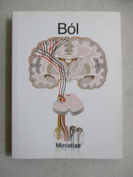 Ból