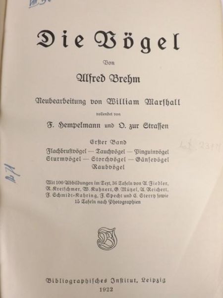 Brehm Alfred  - Die Vogel, 1922 r.