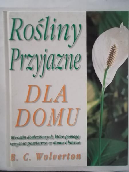 . -  Rośliny przyjazne dla domu