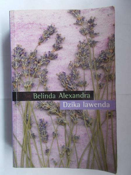 Dzika lawenda