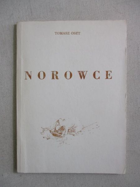 Norowce