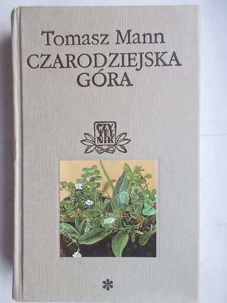 Czarodziejska Góra, tom I
