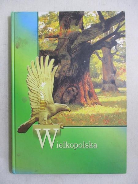 Wielkopolska ...zawsze w Europie
