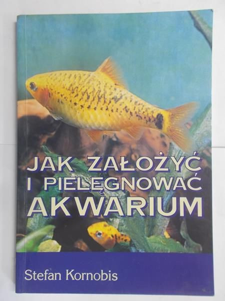 Jak założyć i pielęgnować akwarium