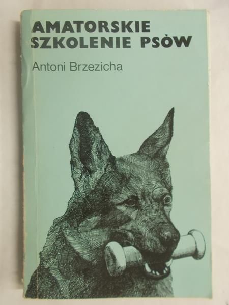 Amatorskie szkolenie psów