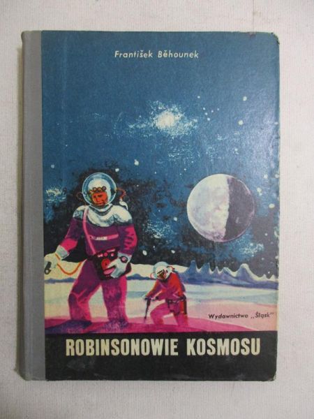 Robinsonowie kosmosu