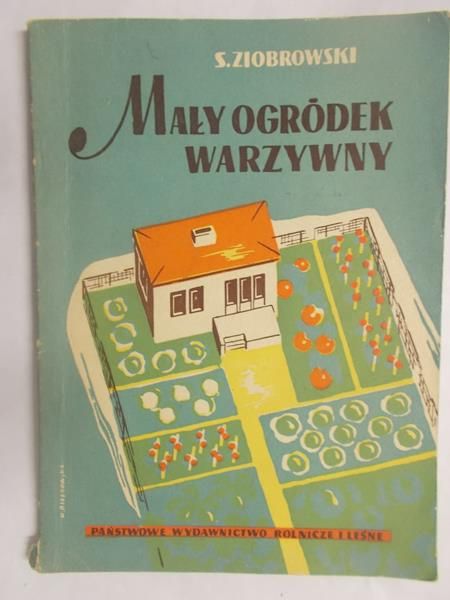 Mały ogródek warzywny