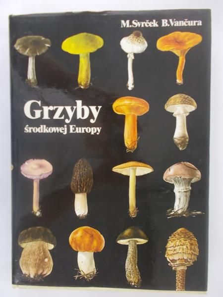 Grzyby środkowej Europy