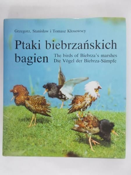 Ptaki biebrzańskich bagien
