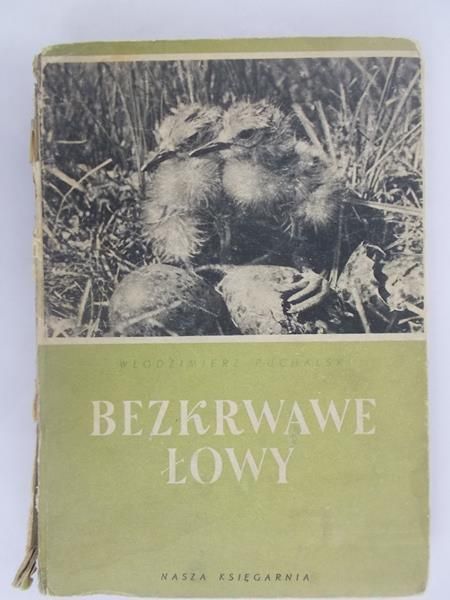 Bezkrwawe łowy