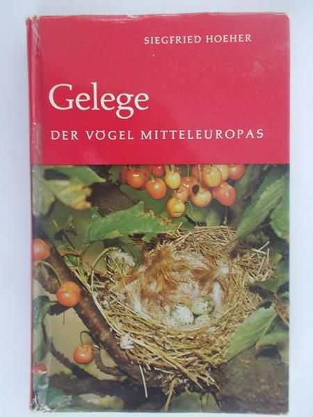 Hoether Siegfried - Gelege der Vogel Mitteleuropas