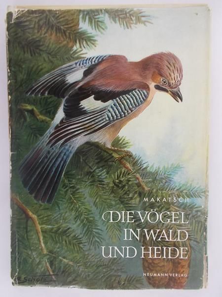 Die Vogel in wald und heide