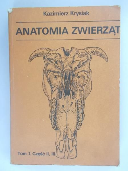 Anatomia zwierząt