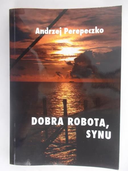 Dobra robota, synu