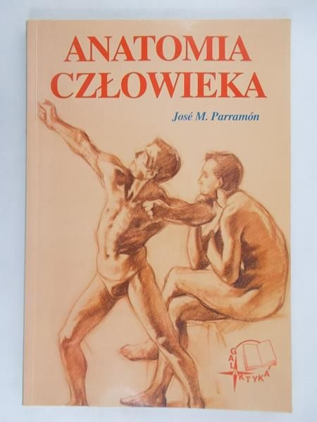 Anatomia człowieka