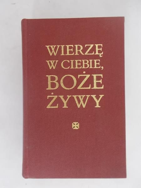 Wierzę w ciebie, Boże żywy