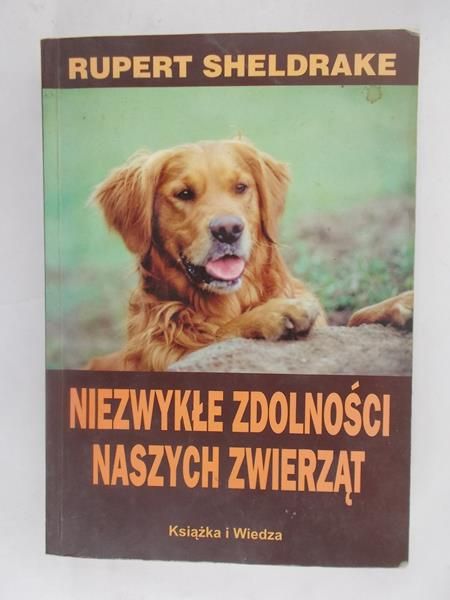 Niezwykłe zdolności naszych zwierząt