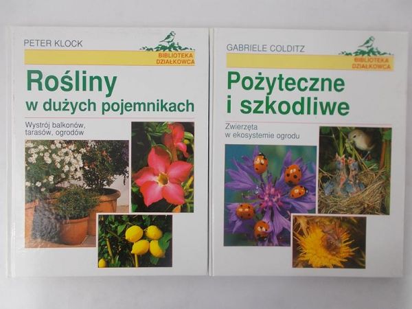Rośliny w dużych pojemnikach. Pożyteczne i szkodliwe