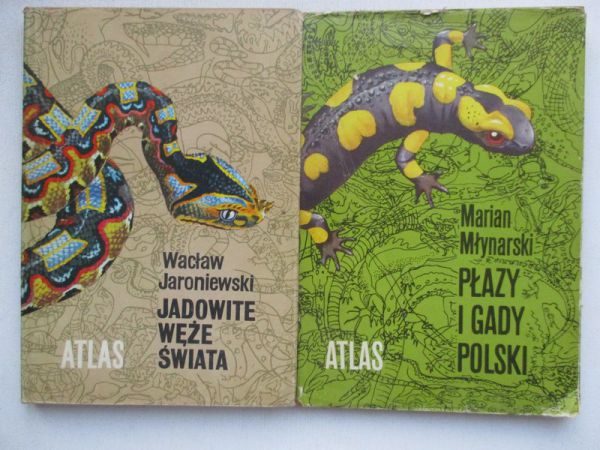 Jadowite węże świata/Płazy i gady Polski