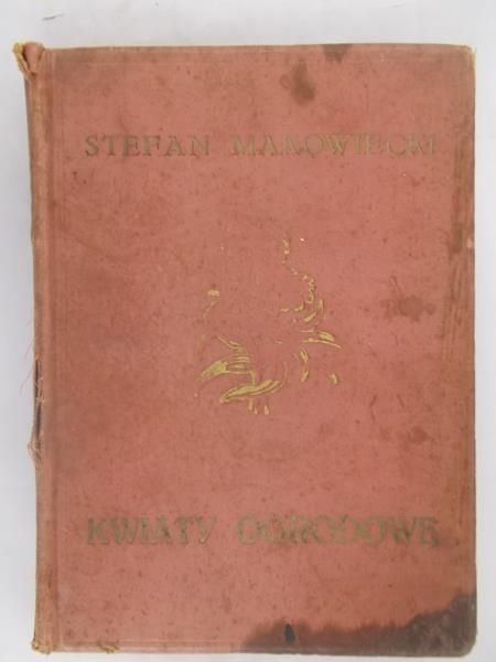 Kwiaty ogrodowe, 1927 r.