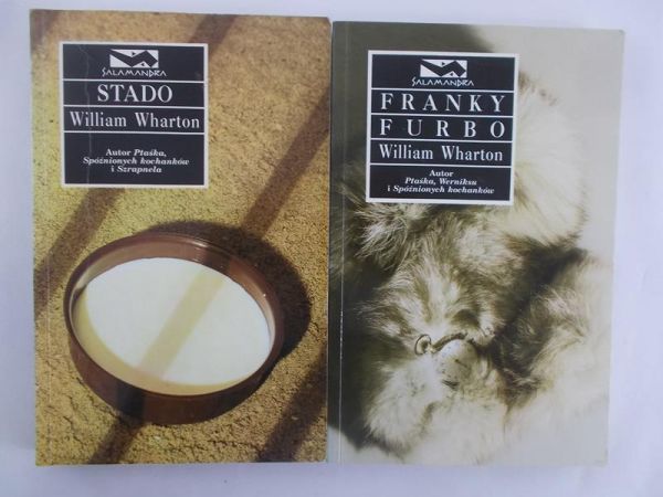 Franky Furbo / Stado