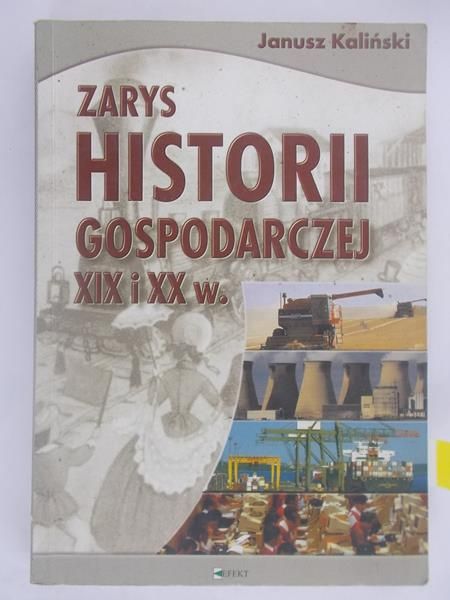 Zarys historii gospodarczej XIX i XX w.