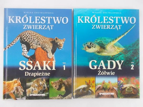 Królestwo zwierząt: Ssaki drapieżne / Gady
