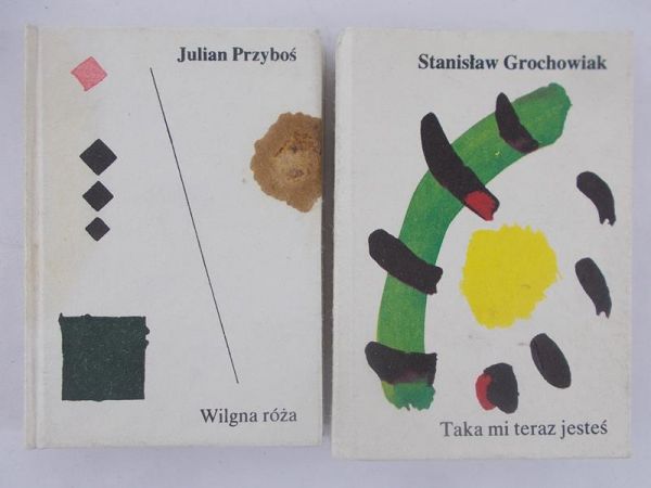 grochowiak, Julian Przyboś - Taka mi teraz jesteś. Wilgna róża