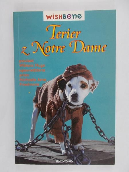 Terier z Notre Dame