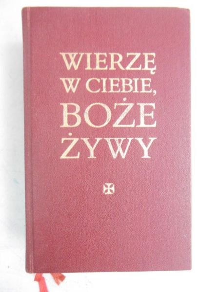 Wierzę w ciebie, Boże żywy