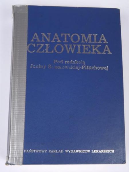Anatomia człowieka