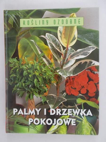 Palmy i drzewka pokojowe