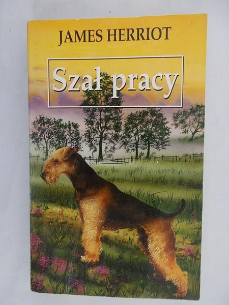 Szał pracy