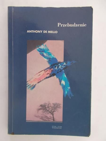 de  - Przebudzenie