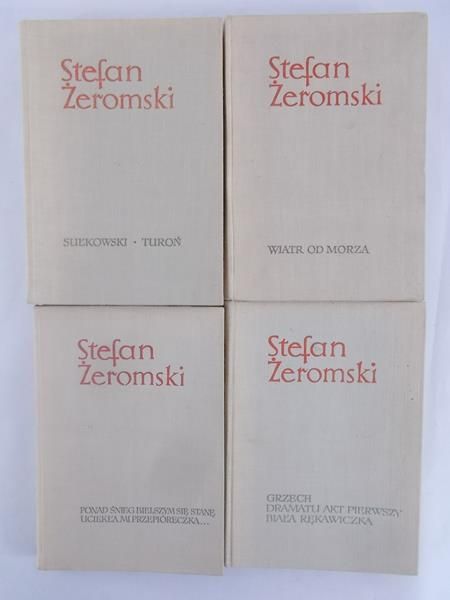 Zestaw 4 książek