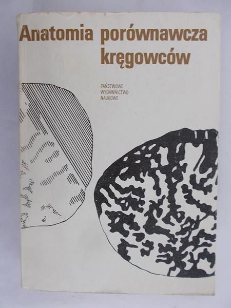 Anatomia porównawcza kręgowców