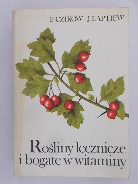 Rośliny lecznicze i bogate w witaminy