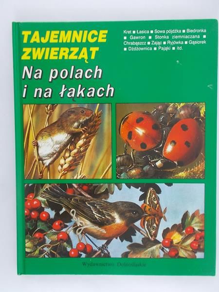 Tajemnice zwierzat. Na polach i na łąkach