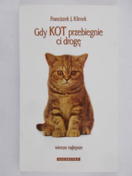 Gdy kot przebiegnie ci drogę