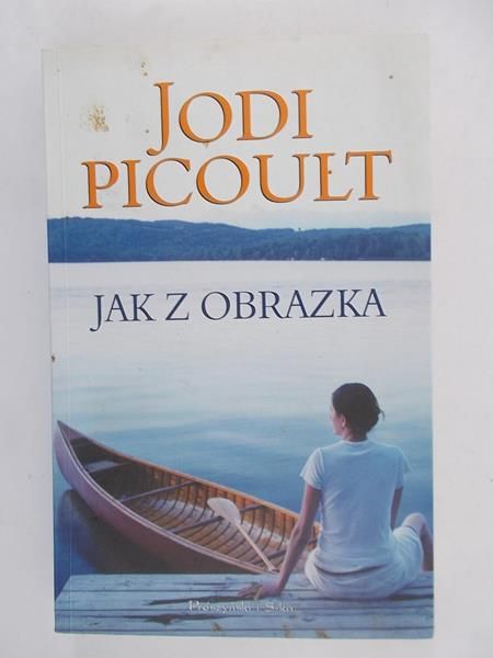 Picoult Jodi - Jak z obrazka