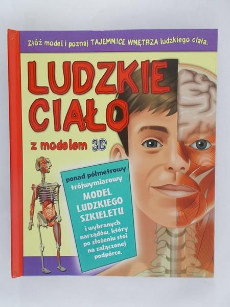 Ludzkie ciało z modelem 3D