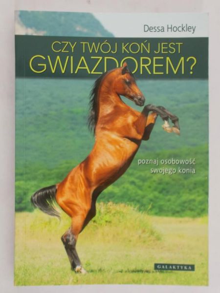 Hockley Dessa - Czy twój koń jest gwiazdorem?