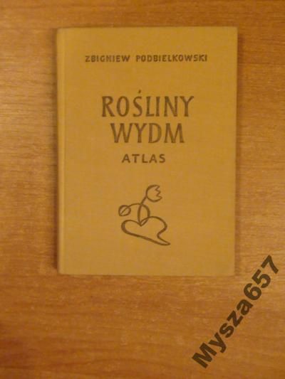 Rośliny wydm