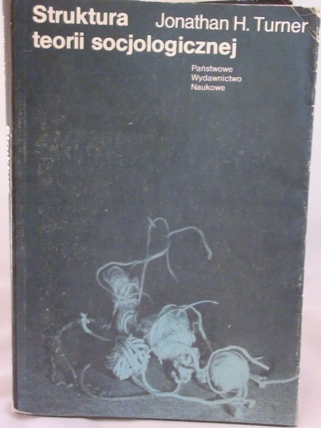Struktura teorii socjologicznej