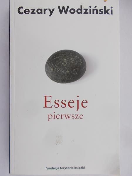Wodziński Cezary - Esseje pierwsze