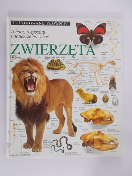 Ilustrowane słowniki - Zwierzęta