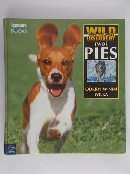 Kaleta Tadeusz-Twój Pies – Odkryj w nim Wilka