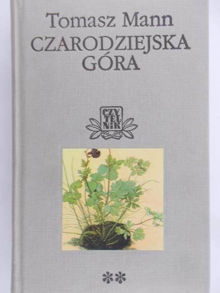 Mann Tomasz - Czarodziejska góra