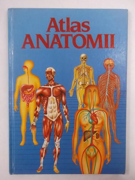 Atlas anatomii człowieka